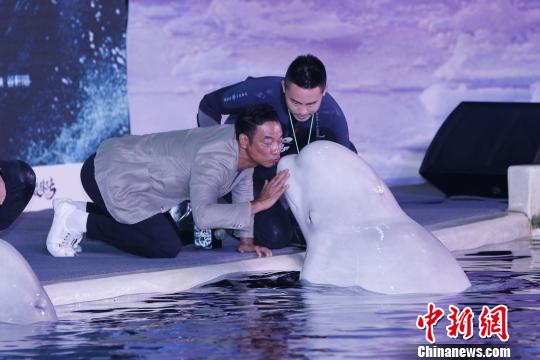 《鲛珠传》任达华与白鲸亲吻 官方 摄