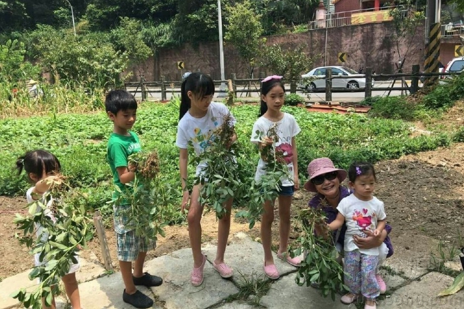 大小S四个女儿合影 许老二腿长