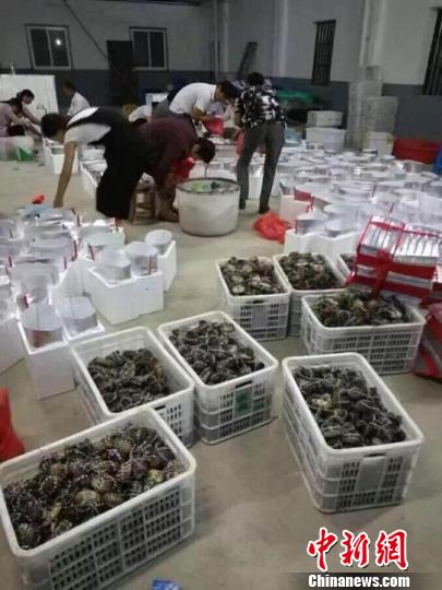 十万食蟹大军涌向“蟹都”苏州巴城
