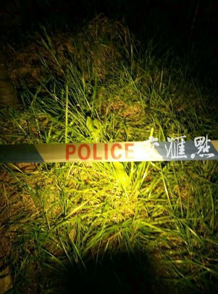 南京六旬奶奶抱孙子失踪续:奶奶尸体水塘中找到 