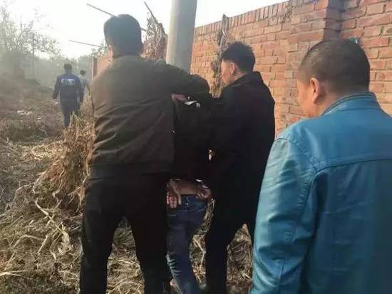 内蒙古天鹅被毒案:湖面投毒 毒死后移至天津销售
