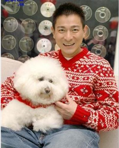 娱乐圈走红时间最长的明星 最后一位超过45年