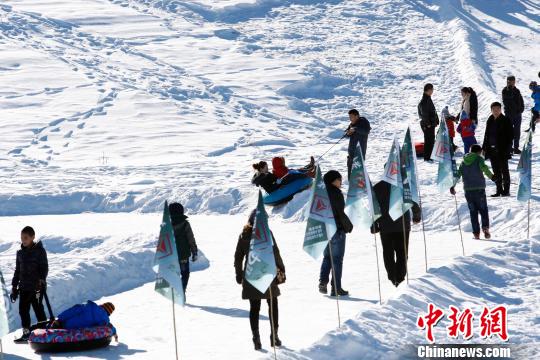 1月11日，新疆吉木萨尔县泉子街镇桦树园子湿地公园滑雪场，成孩子们乐园。　王小军　摄
