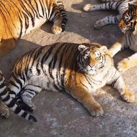 一组