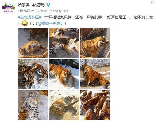 一组