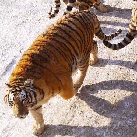 一组